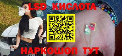 амф Заволжье