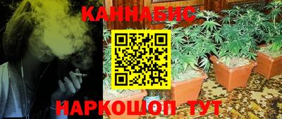 амф Заволжье