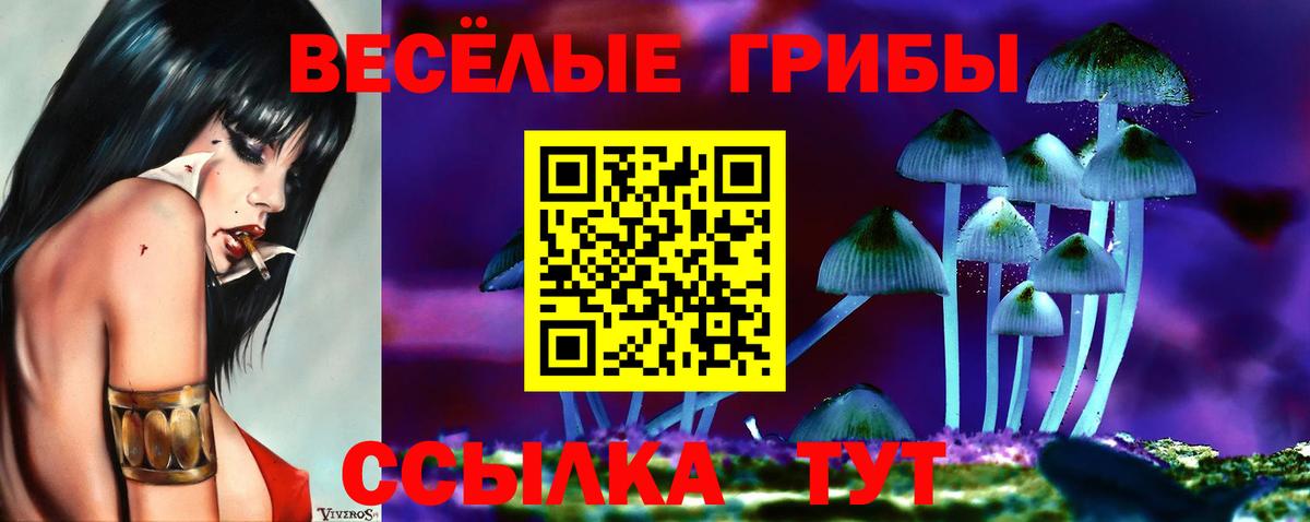 Псилоцибиновые грибы мицелий  Вход с VPN  Галлюциногенные грибы Psilocybe  Мурманск 